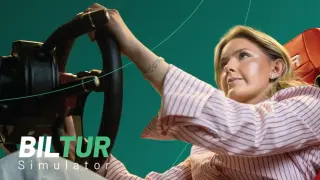 Biltur Simulator