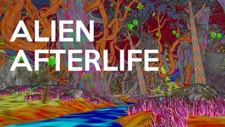 AlienAfterlife