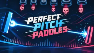 Perfect Pitch Paddles