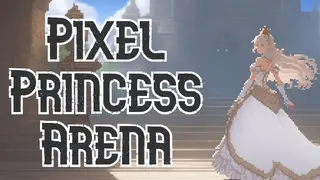 Pixel Princess Arena
