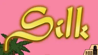 Silk - Switch