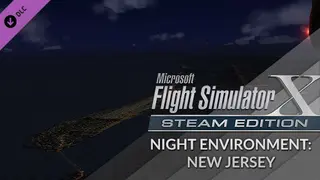 FSX Steam Edition - Night Environment: New Jersey Add-On