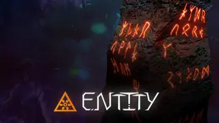 Entity
