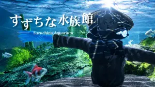 すずちな水族館 / Suzuchina Aquarium