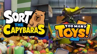 Capybara & Too Many Toys