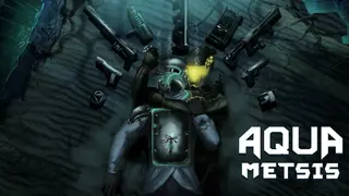 Aquametsis