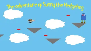 The Adventure of Sunny the hedgehog