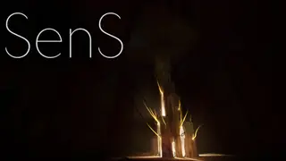 SenS