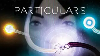 Particulars