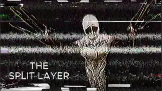 The Split Layer