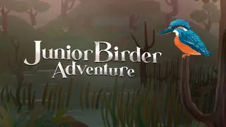 Junior Birder Adventure