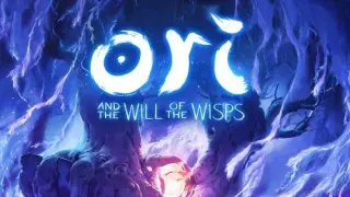 Ori and the Will of the Wisps - Switch