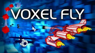 Voxel Fly