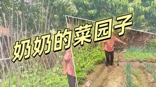 奶奶的菜园