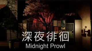 Midnight Prowl