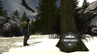 Mountaineer