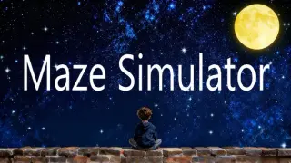 Maze Simulator