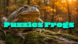 Puzzles Frogs