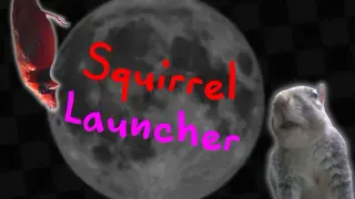 Squirrel Launcher