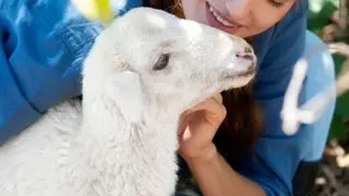 My Life: Farm Vet - Switch