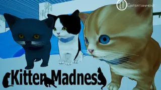 Kitten Madness