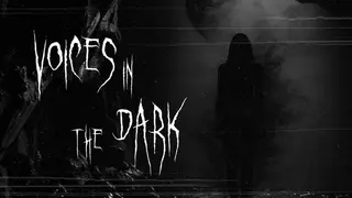 Voices in the Dark