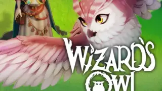 Wizards Owl: Magic Delivery - Switch