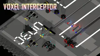 Voxel Interceptor