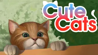 Cute Cats