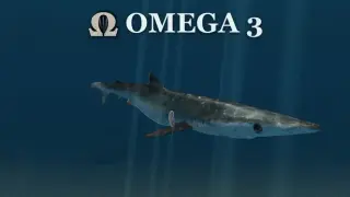 Omega 3