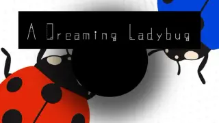 A Dreaming Ladybug