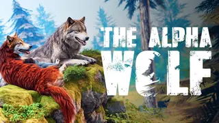 The Alpha Wolf