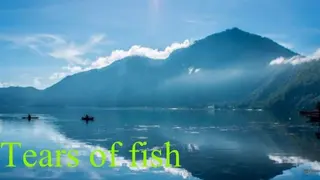 Tears of fish