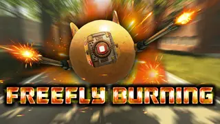 FreeFly Burning