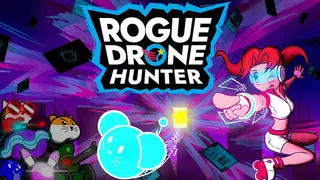 Rogue Drone Hunter
