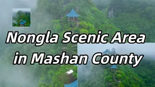 Nongla Scenic Area in Mashan County