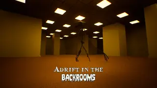 Adrift in the Backrooms