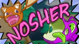 Nosher