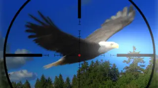 America Wild Hunting (PS4)