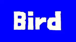Bird