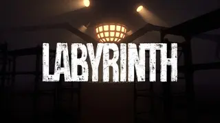 Labyrinth: Veins of the Machine