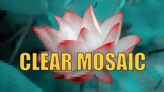 Clear Mosaic