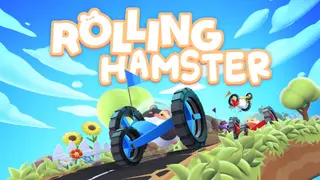 Rolling Hamster