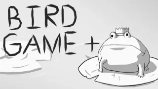 Bird Game + - Switch