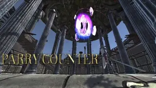 PARRY COUNTER