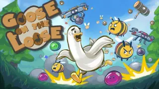 Goose On The Loose