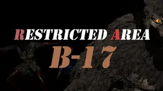 Restricted Area B-17