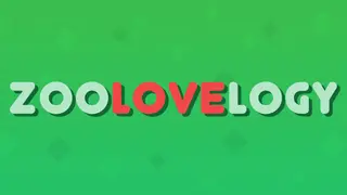 Zoolovelogy