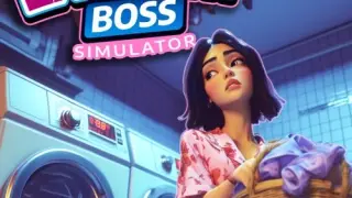 Laundry Boss Simulator - Switch