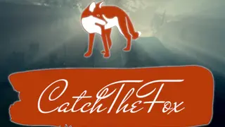 Catch The Fox